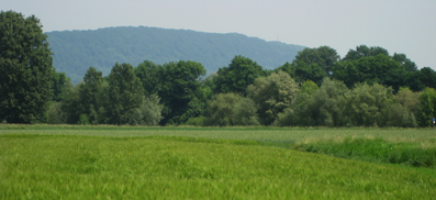 Landwirtschaftliche Buchstelle